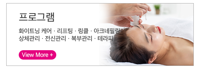 프로그램